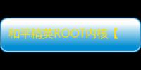 和平精英ROOT内核【Rine内核】外挂